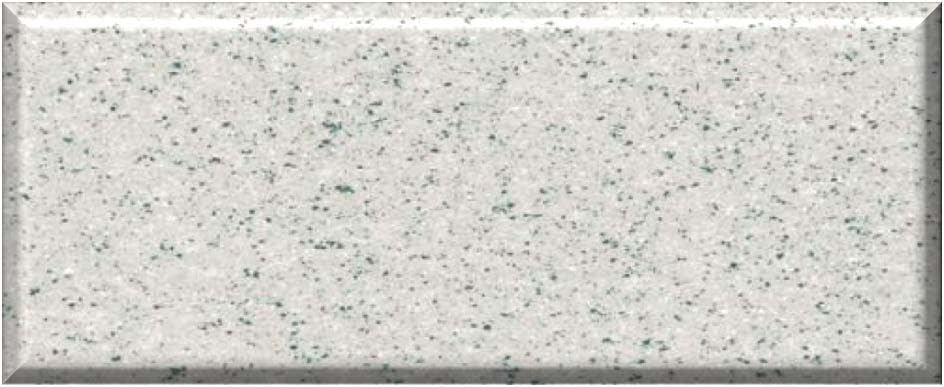 RS9900-SP