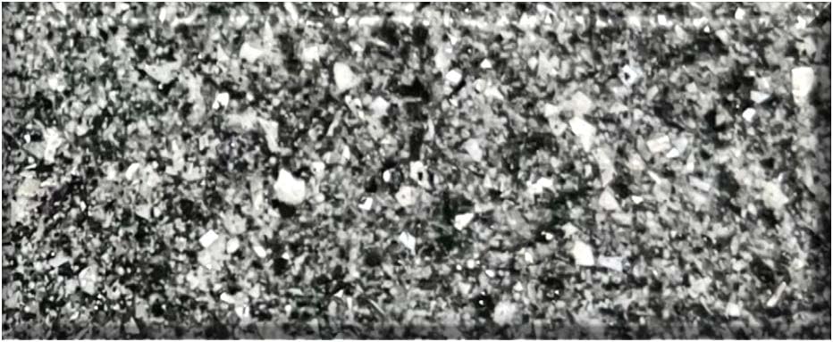 RS9900-CG