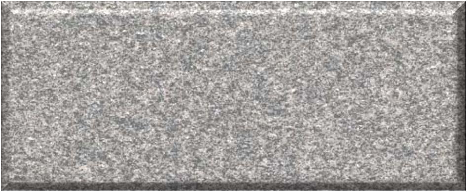 RS9900-HG